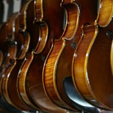 Violiner på række